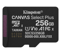 Karta pamięci KINGSTON  SDCS3/256GB